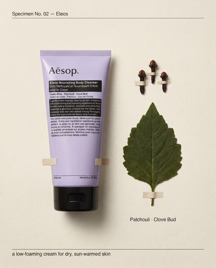 Post 5 of the grid I delivered for Aesop