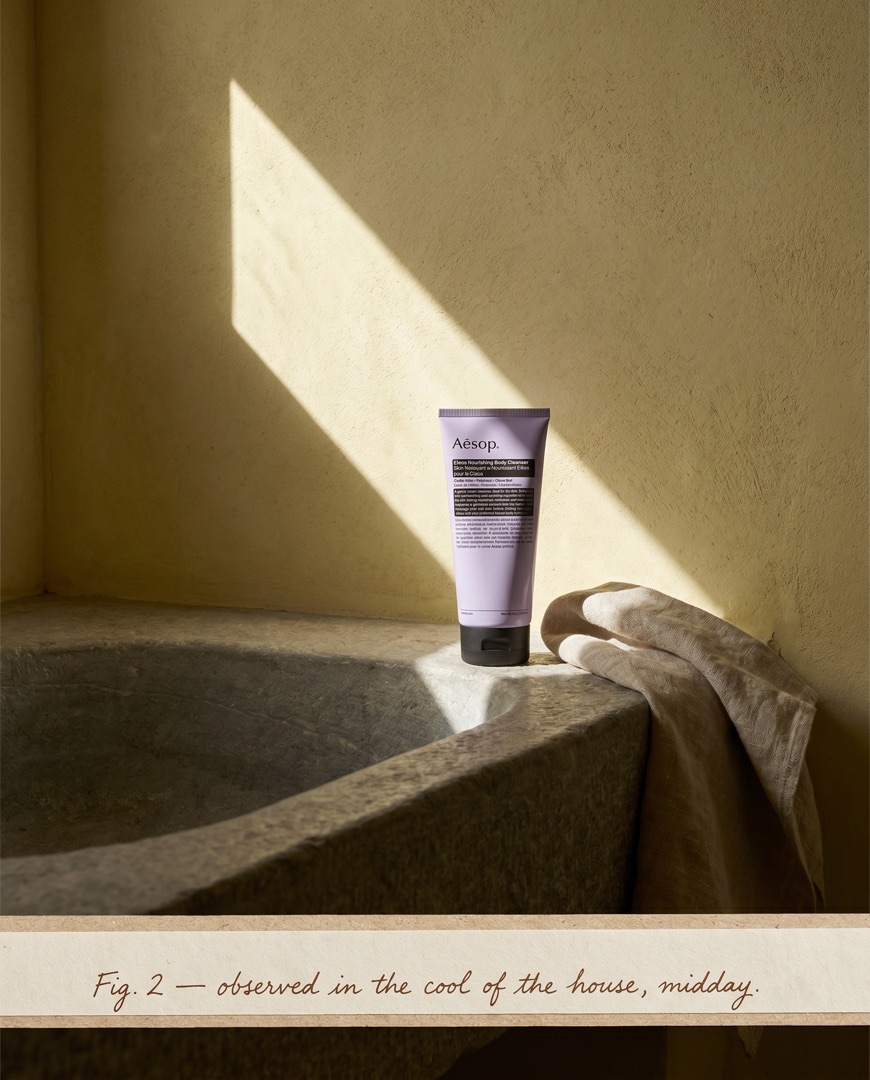 Post 8 of the grid I delivered for Aesop