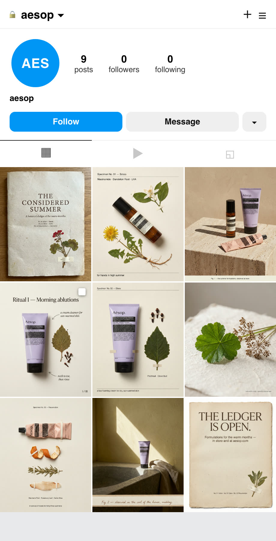 The Aesop campaign previewed inside the feed